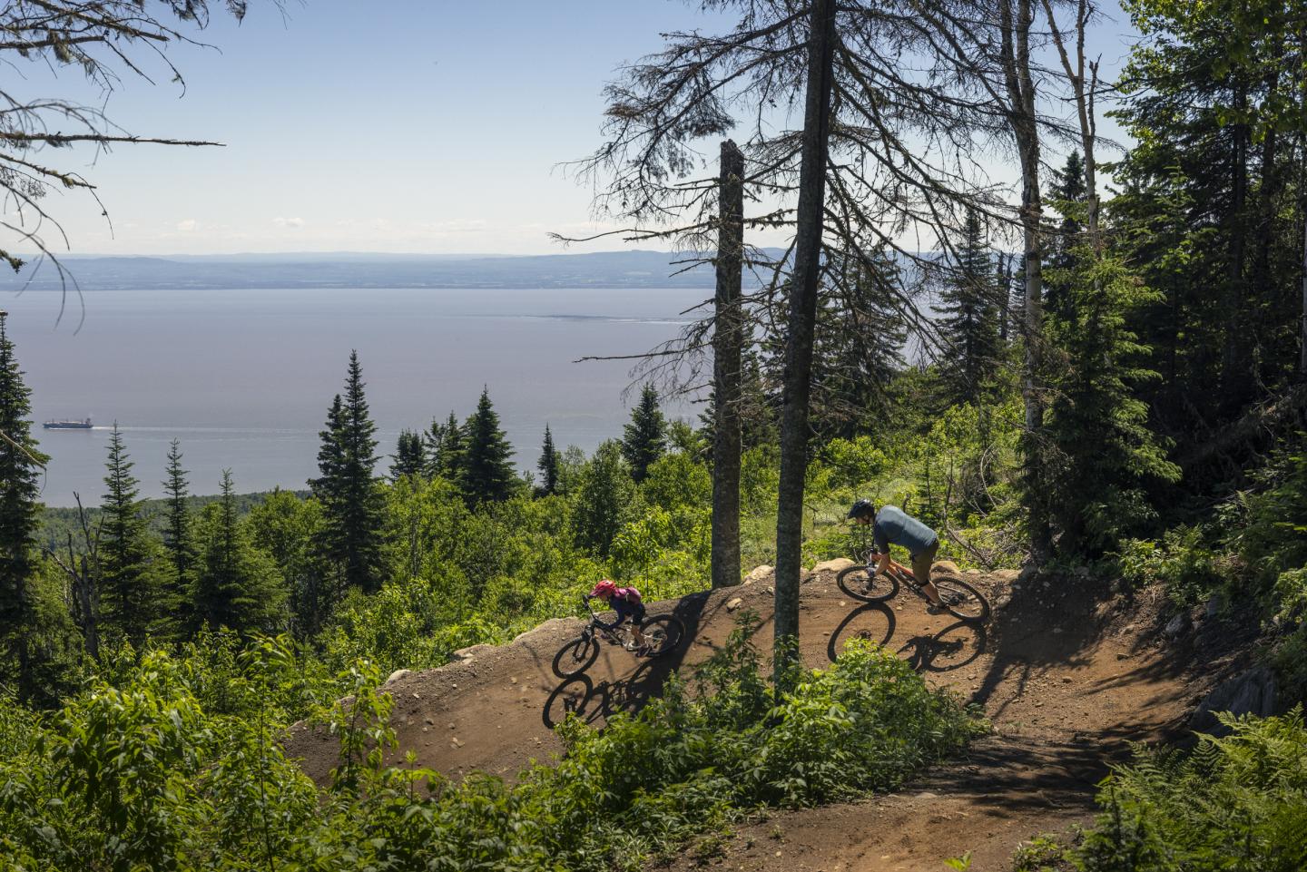 Massif du sud discount velo de montagne